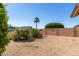 Low maintenance desert landscaped backyard featuring shrubs and palm trees at 9857 W Tonto Ln, Peoria, AZ 85382