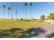 A sunny view of the well-manicured golf course featuring mature palm trees and a walking path at 9857 W Tonto Ln, Peoria, AZ 85382