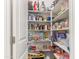 Well-stocked pantry with ample shelving and storage, perfect for organized kitchen essentials at 17296 W Molly Ln, Surprise, AZ 85387