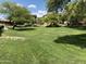 Expansive green common area with lush grass and mature trees providing a serene outdoor space at 10136 E Southern Ave # 1052, Mesa, AZ 85209