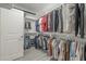 Spacious walk-in closet with ample shelving and hanging space for organized storage of clothes and accessories at 116 E Santa Lucia Ln, Queen Creek, AZ 85140