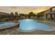 Beautiful backyard with a large pool and integrated spa, surrounded by well-maintained landscaping and privacy fencing at 11875 W Lone Tree Trl, Peoria, AZ 85383