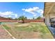 Expansive backyard with a sparkling swimming pool and a mature palm tree at 15019 W Banff Ln, Surprise, AZ 85379