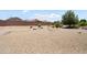 Expansive backyard with desert landscaping and rocks at 16222 W Silver Falls Dr, Surprise, AZ 85374