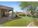 Expansive backyard featuring a covered patio, artificial turf, mature trees, and meticulous landscaping at 2239 N Calvin --, Mesa, AZ 85207