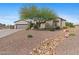 Charming home with desert landscaping, a beautiful Palo Verde tree, and a welcoming walkway at 2239 N Calvin --, Mesa, AZ 85207