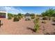 Backyard xeriscape landscaping, with view of the neighborhood at 26753 W Zachary Dr, Buckeye, AZ 85396