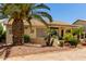 Lovely backyard with palm trees and a covered patio area, perfect for outdoor entertaining at 3166 N 158Th Ave, Goodyear, AZ 85395