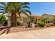Desert backyard featuring mature palm trees, gravel, and patio of a single story home at 3166 N 158Th Ave, Goodyear, AZ 85395