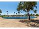 Scenic community pond framed by palm trees and a mature shade tree in an Arizona community at 3166 N 158Th Ave, Goodyear, AZ 85395