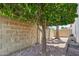Shaded backyard featuring a mature tree, gravel landscaping, and a block wall at 4428 E Yawepe St, Phoenix, AZ 85044