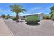 A vibrant palm tree and green bushes adorn the property with gravel landscaping at 5228 E Des Moines St, Mesa, AZ 85205