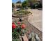 Landscaped backyard with flower beds, turtle statues, and a brick-paved area at 6334 E Albany St, Mesa, AZ 85205