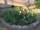 Circular flower garden with a variety of colorful blooms, stone border, and solar lights at 6334 E Albany St, Mesa, AZ 85205