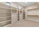 Spacious walk-in closet with custom shelving and storage, providing ample space for wardrobe organization at 8540 E Mcdowell Rd # 119, Mesa, AZ 85207