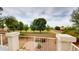 Backyard view with a green lawn and mature trees, perfect for outdoor activities and relaxation at 10441 W Windsor Ave, Avondale, AZ 85392