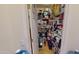 Pantry with organized shelving and ample storage space for kitchen essentials at 10441 W Windsor Ave, Avondale, AZ 85392