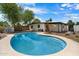Beautiful backyard pool with tanning ledge and desert landscaping at 1939 E Alameda Dr, Tempe, AZ 85282