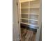 Well-organized pantry with ample shelving, perfect for storing all your kitchen essentials at 3248 W San Cristobal Rd, San Tan Valley, AZ 85144