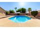 Backyard pool with patio space, palms, bushes, block wall and blue water at 4214 W Marco Polo Rd, Glendale, AZ 85308