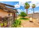 Spacious backyard featuring a mature tree, palm trees, block wall, and covered patio area; perfect for outdoor activities at 4438 W Hatcher Rd, Glendale, AZ 85302