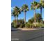 Beautifully landscaped roundabout with mature palm trees and lush greenery in this well-maintained neighborhood at 5735 E Mcdowell Rd # 63, Mesa, AZ 85215