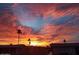 Stunning sunset view with palm trees silhouetted against vibrant orange, blue and yellow skies at 5735 E Mcdowell Rd # 63, Mesa, AZ 85215