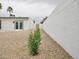 Home's side yard featuring desert landscaping, white exterior wall, and private gate entry at 6401 E Eugie Ter, Scottsdale, AZ 85254
