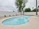 Inviting backyard pool area with desert landscaping and white privacy fence at 6401 E Eugie Ter, Scottsdale, AZ 85254