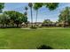 Well-manicured green lawn with palm trees and tropical foliage surround the complex in a relaxing environment at 225 W Winged Foot Rd, Phoenix, AZ 85023