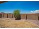 View of backyard showing landscaping and stone wall at 25732 W Elizabeth Ave, Buckeye, AZ 85326