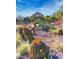 Scenic desert landscape with barrel cacti and colorful flowers against a mountain backdrop at 5345 E Van Buren St # 209, Phoenix, AZ 85008