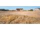 View of rear exterior featuring a covered patio, windows, and potential for landscaping at 5937 N Nigal Rd, Casa Grande, AZ 85194