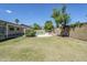 Spacious backyard with a refreshing pool, mature trees, and block-wall fencing at 6214 W Sunnyside Dr, Glendale, AZ 85304