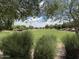 Green community space with walking path, trees, and scenic landscape views at 6638 W Nez Perce St, Phoenix, AZ 85043