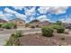 A serene neighborhood showcases lush landscaping and mountain views in a desirable location at 1821 E Patrick Ln, Phoenix, AZ 85024