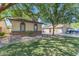 Manicured front yard with green grass and mature tree providing lots of natural shade at 29475 N Candlewood Dr, San Tan Valley, AZ 85143