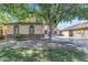 Manicured front yard with green grass and mature tree providing lots of natural shade at 29475 N Candlewood Dr, San Tan Valley, AZ 85143