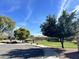 Community green space with lush trees and shaded picnic area at 3225 E Cardinal Ct, Chandler, AZ 85286