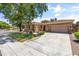 Spacious home with a three-car garage, a large driveway, and a lush, green lawn at 3225 E Cardinal Ct, Chandler, AZ 85286