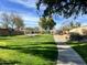 Neighborhood green space featuring mature trees, manicured lawns and walking path at 3225 E Cardinal Ct, Chandler, AZ 85286