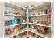 Walk-in pantry with ample shelving and storage space for organized kitchen essentials at 3225 E Cardinal Ct, Chandler, AZ 85286