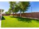 Lush backyard with artificial turf, perfect for outdoor activities at 3444 E Flamingo Ct, Gilbert, AZ 85297