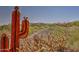 View of home in desert landscape with metal cactus sculpture and native vegetation at 36674 N Vasari Dr, Scottsdale, AZ 85262