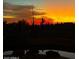 Sunset scene over desert backyard, with silhouettes of cacti and trees at 36674 N Vasari Dr, Scottsdale, AZ 85262