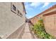 Gravel side yard has stone pavers and some vegetation at 7252 E Nance St, Mesa, AZ 85207