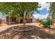 Open backyard with a large tree, offering ample space for outdoor activities and landscaping opportunities at 8302 E Dutchman Dr, Mesa, AZ 85208