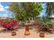 Beautiful backyard with a charming water fountain, surrounded by vibrant bougainvillea and lush landscaping at 8302 E Dutchman Dr, Mesa, AZ 85208