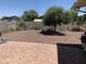 This desert landscaped backyard has a brick-paver patio and a shade tree at 108 E Jasmine St, Mesa, AZ 85201