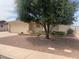 Landscaped front yard with mature trees and stone groundcover, adding curb appeal at 108 E Jasmine St, Mesa, AZ 85201